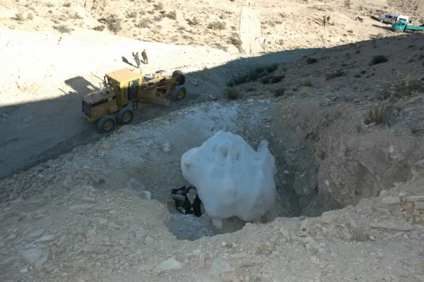 Hallan restos de dos dinosaurios en Santa Cruz y en Chubut