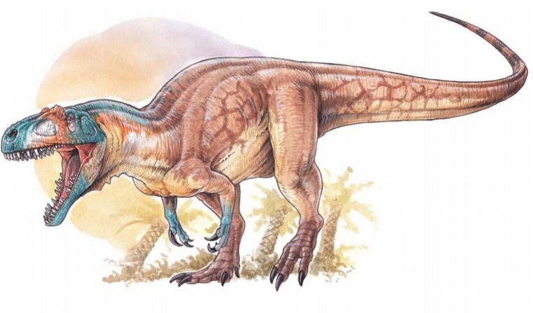Hallan restos de dos dinosaurios en Santa Cruz y en Chubut