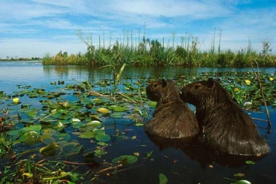 Áreas protegidas: turismo en contacto con la naturaleza