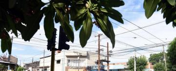 Investigan un posible secuestro narco