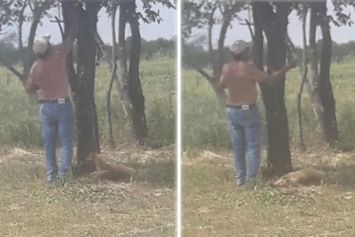 Maltrato animal en Leales: mató a dos perros delante de un grupo de pescadores