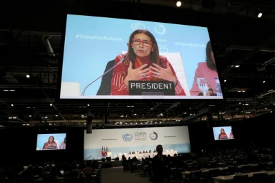 Cambio climático: decepción ante la falta de acuerdo sobre los mercados de carbono