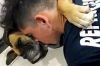 Tristeza: la perra que murió en brazos de su dueño a causa de la pirotecnia