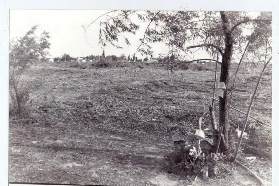 RECUERDO. Los vecinos de Gladys instalaron una pequeña cruz a la par del arbolito donde fue atada hasta que murió.