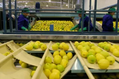 Se formalizó el protocolo para el ingreso del limón a China
