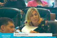 Ley de Emergencia: Beatriz Ávila propuso achicar los gastos de los poderes del Estado