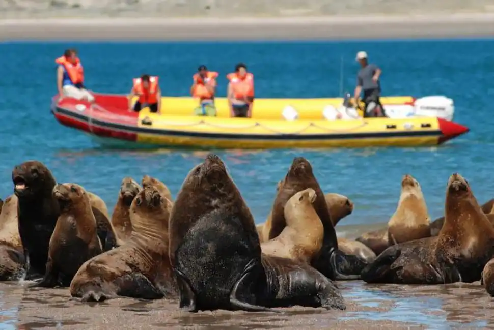 Muchas de las tibias playas rionegrinas están en rincones increíbles
