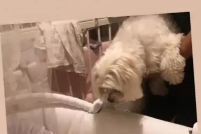 “Una locura de amor”: mirá la tierna foto de Eugenia Tobal y su beba