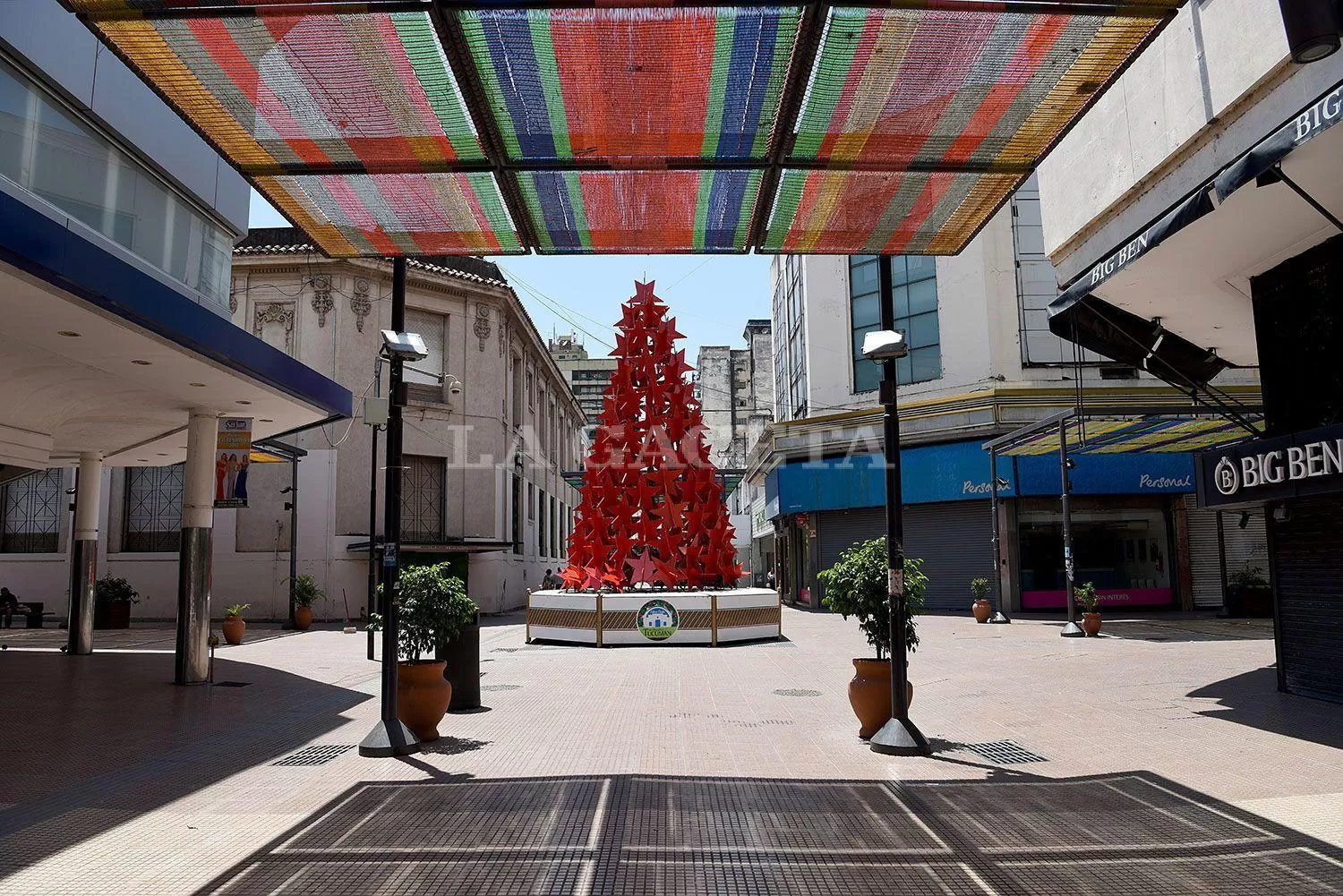 NAVIDAD EN TUCUMÁN. El clásico árbol rojo de la peatonal.