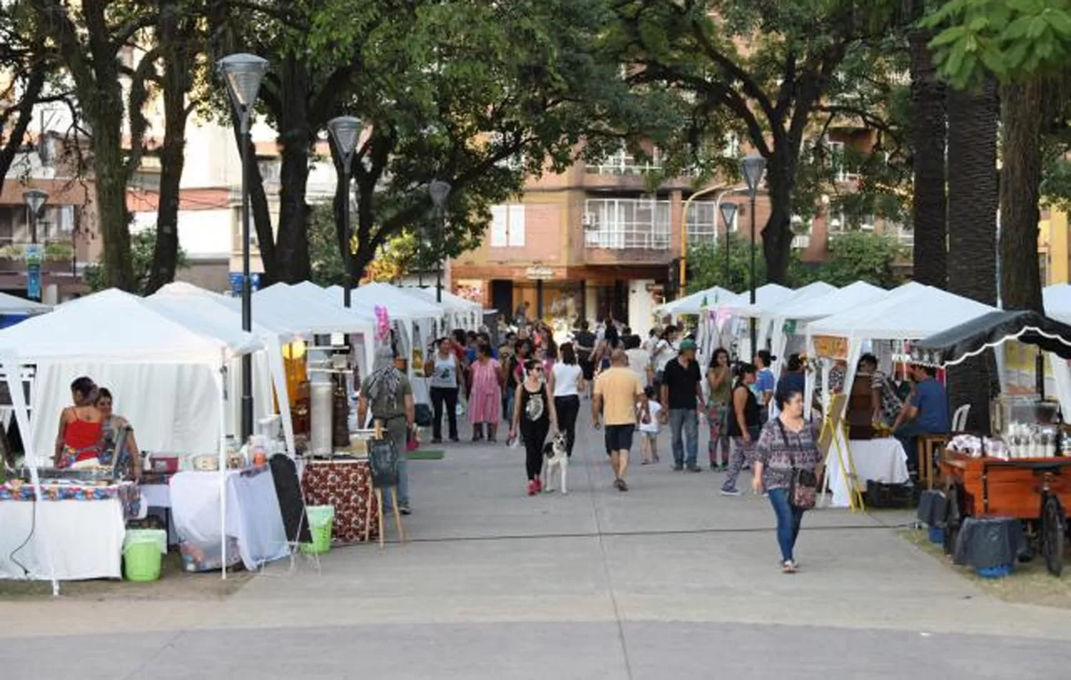 Agenda de domingo: actividades para disfrutar en la provincia