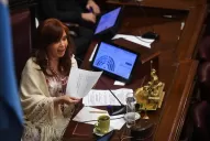 Ley Ómnibus: arduo debate, con el debut de Cristina