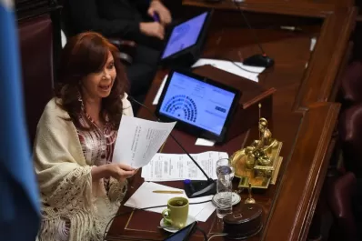 Ley Ómnibus: arduo debate, con el debut de Cristina