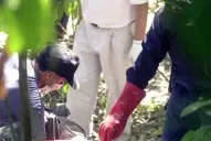 El caso Mansilla: una denuncia de soborno y un polémico arreglo