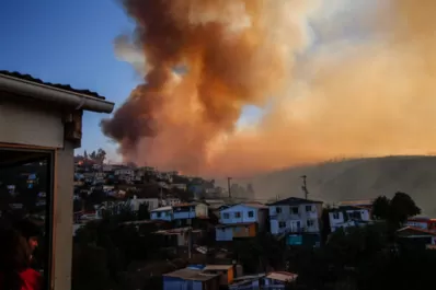 En Chile, el Gobierno cree que el incendio forestal en Valparaíso fue intencional