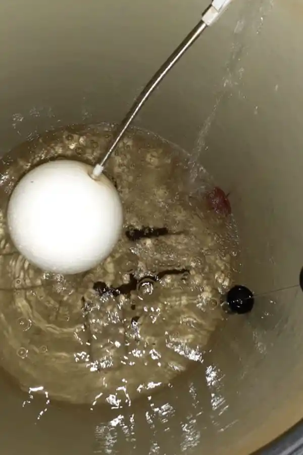 ¿Te quedaste sin champán? La SAT te lo ofrece directamente de la canilla