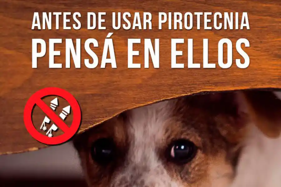 En Tafí Viejo, se vendió pirotecnia a pesar de la prohibición 