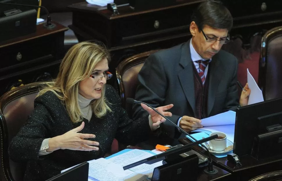 APOYO. La senadora nacional por Tucumán, Silvia Elías de Pérez, acompañó el proyecto de su bloque para contribuir a la reducción del gasto político. TÉLAM (ARCHIVO)