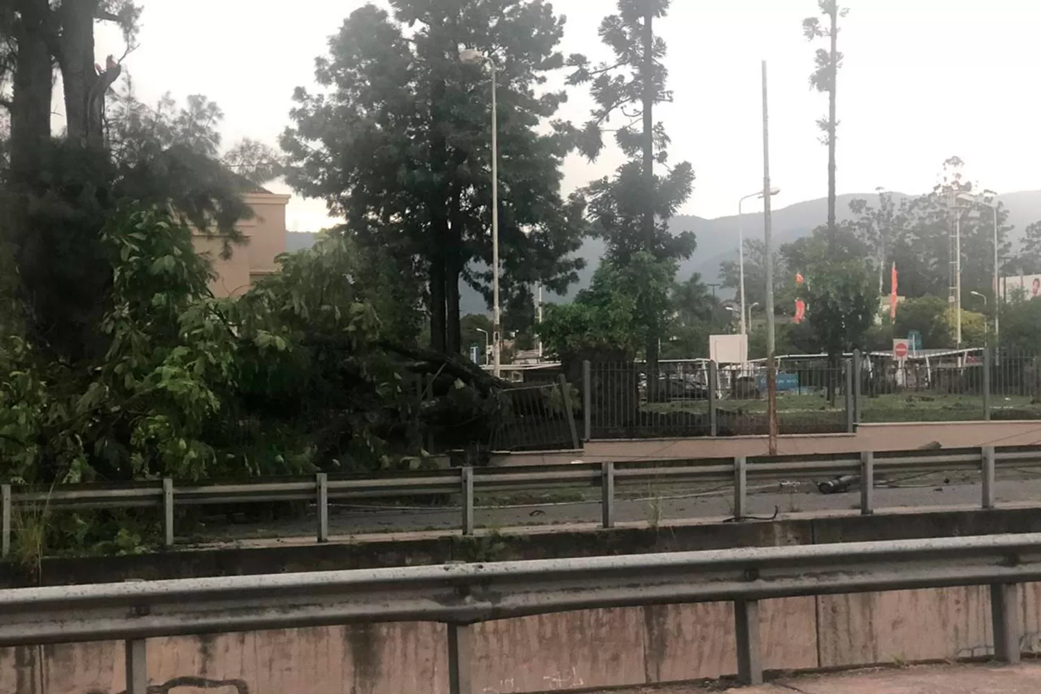EN EL PORTAl. Se volvió a caer un árbol del Shopping. Cayó hacia avenida Alfredo Guzmán. FOTO ENVIADA AL WHATSAPP DE LA GACETA