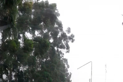 Recolección de residuos en Yerba Buena