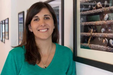 Crean un conversor de contaminantes orgánicos