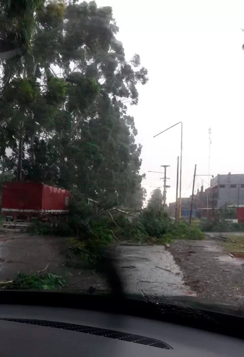 CERRADO. En el camino de Sirga, a la altura de calle San Martín, de Yerba Buena, estuvo bloqueado por la caída de un árbol. FOTO ENVIADA A LG WHATSAPP