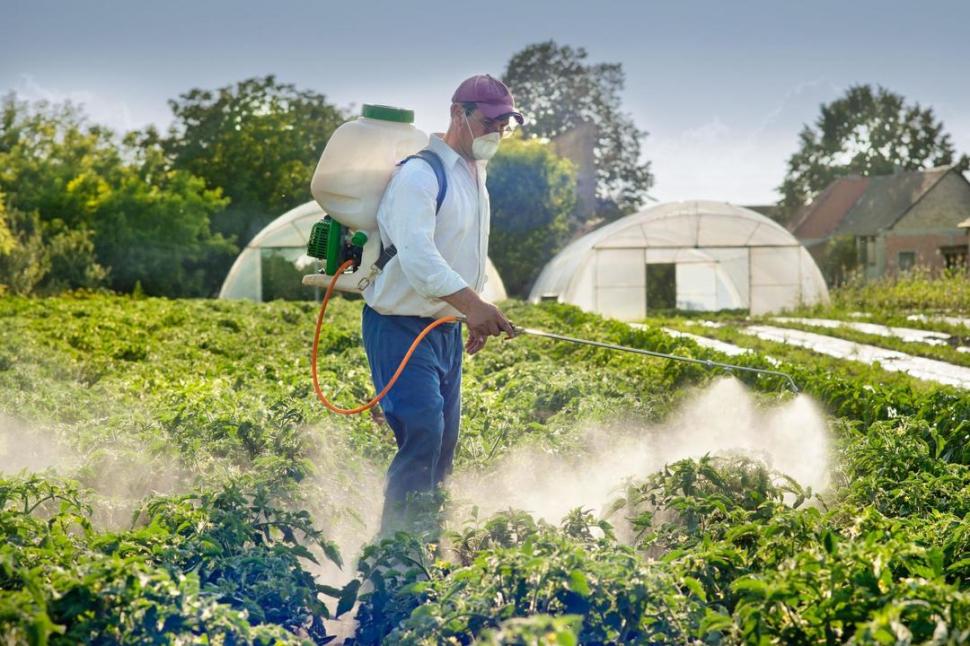 LEY. Desde dónde se puede pulverizar depende del cultivo y de los productos.  