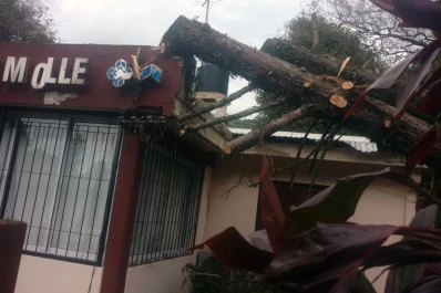 Por la tormenta, cayó un árbol sobre el Caps de Horco Molle