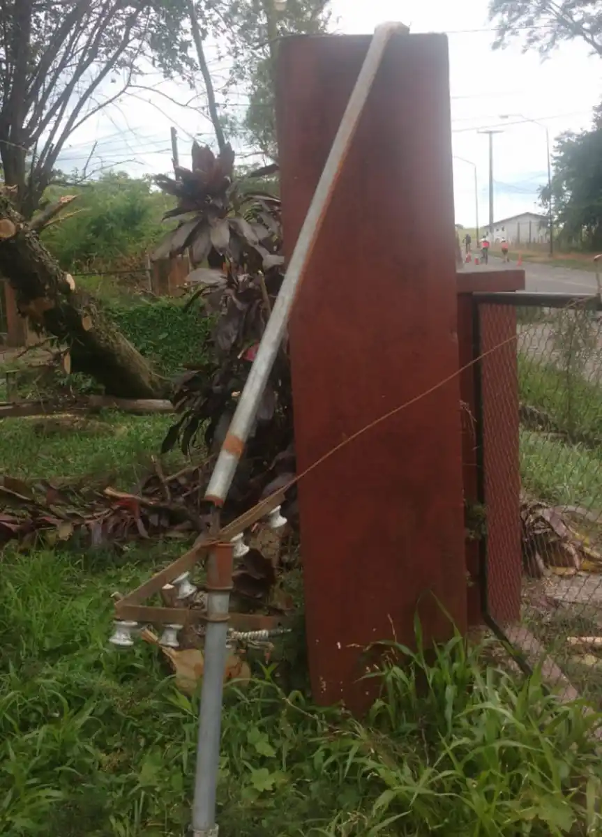 Por la tormenta, cayó un árbol sobre el Caps de Horco Molle