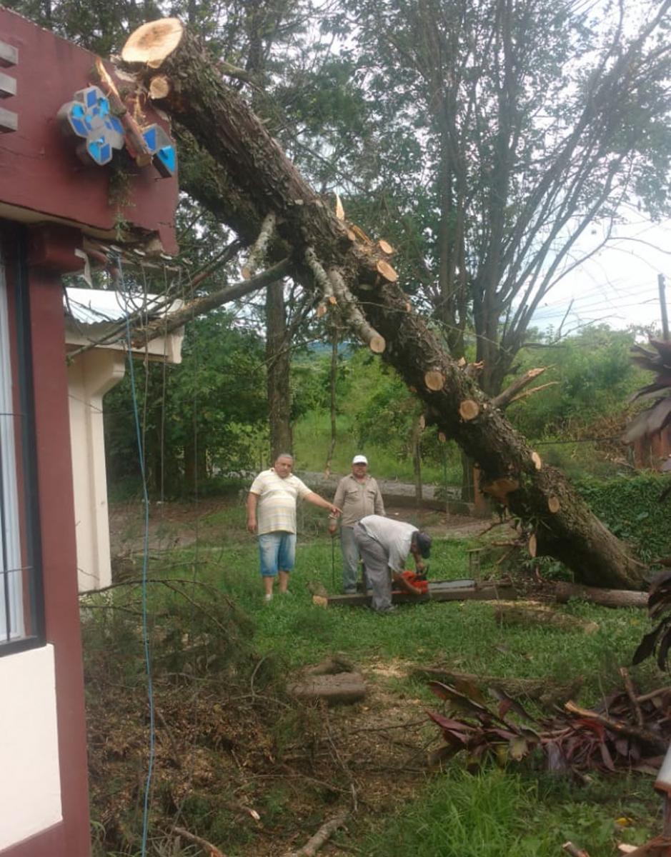 Por la tormenta, cayó un árbol sobre el Caps de Horco Molle