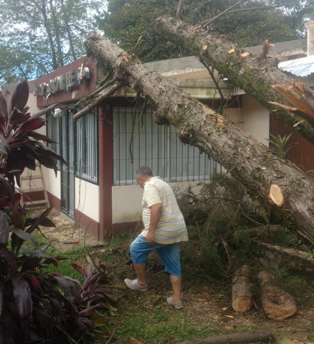 Por la tormenta, cayó un árbol sobre el Caps de Horco Molle