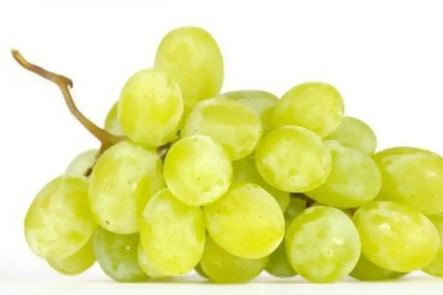 Cinco rituales para recibir el nuevo año con otra energía