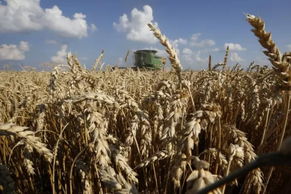 Las lluvias son insuficientes y la falta de humedad afecta la siembra