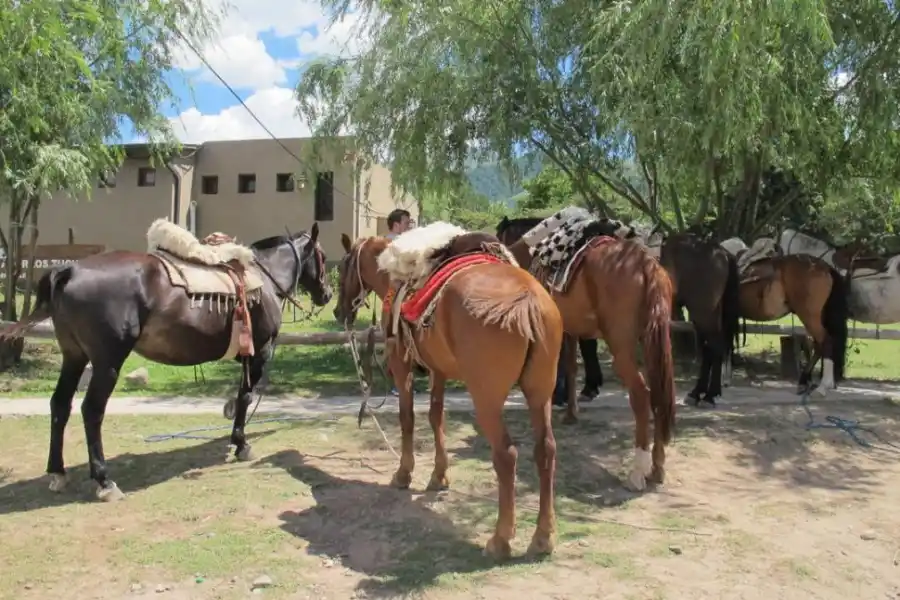 UN CLÁSICO. Los paseos a caballo son una fija; si no tenés tus propios animales podés alquilarlos.