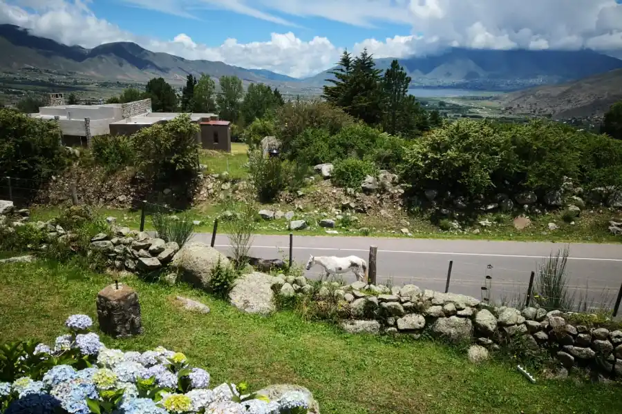 La ruta a Tafí del Valle recibe al visitante con animales sueltos