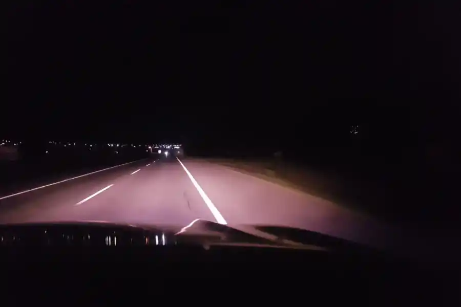 Atrapan animales sueltos en las rutas provinciales tras las denuncias de los vecinos