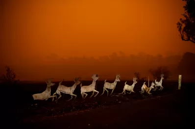 Ya suman 23 las personas muertas en los incendios en Australia
