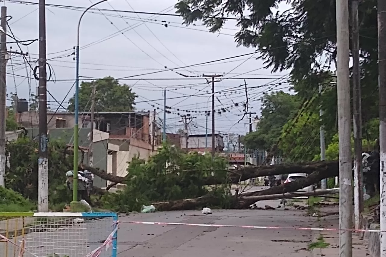 Los fuertes vientos en Tucumán provocaron voladura de techos, caída de árboles y postes