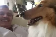 El emotivo video que compartió Alberto Fernández por el cumpleaños de su perro Dylan