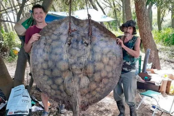 Pescan en el río Paraná una enorme raya de 153 kilos