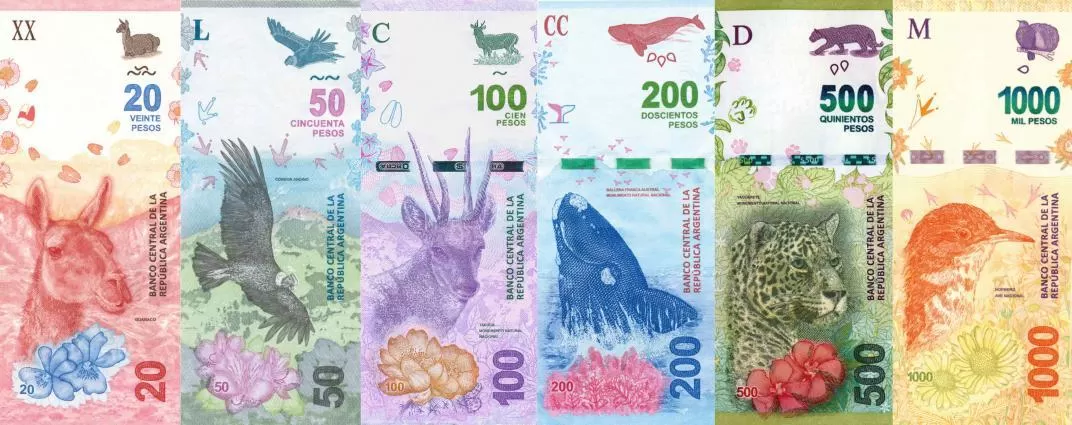 Es un hecho: el Banco Central confirmó cuándo sacarán los animales de los billetes