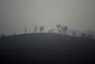 El humo proveniente de los incendios de Australia persistirá hasta mañana