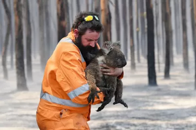 Mapa: los incendios en Australia ocupan más del doble de la superficie de Tucumán
