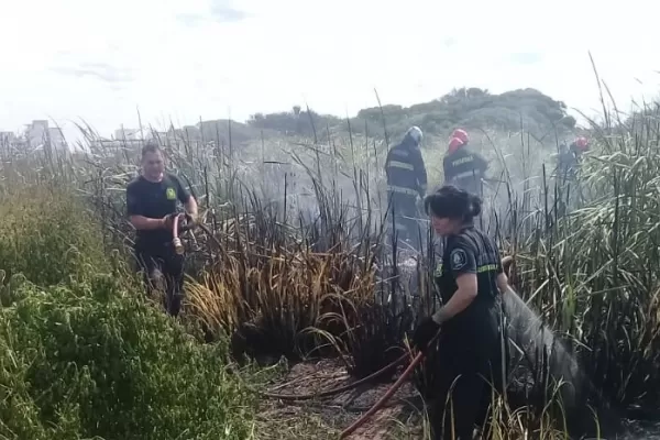 Susto de verano: se incendió una reserva en Mar del Plata