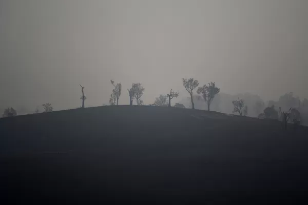 El humo proveniente de los incendios de Australia persistirá hasta mañana