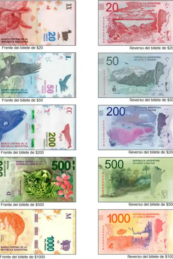 Es un hecho: el Banco Central confirmó cuándo sacarán los animales de los billetes