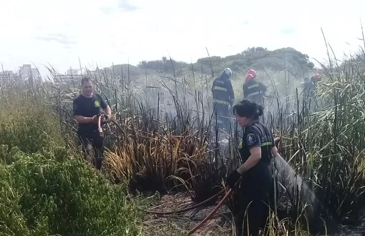 Bomberos trabajaron para sofocar el incendio en la Reserva Natural de Punta Mogotes.