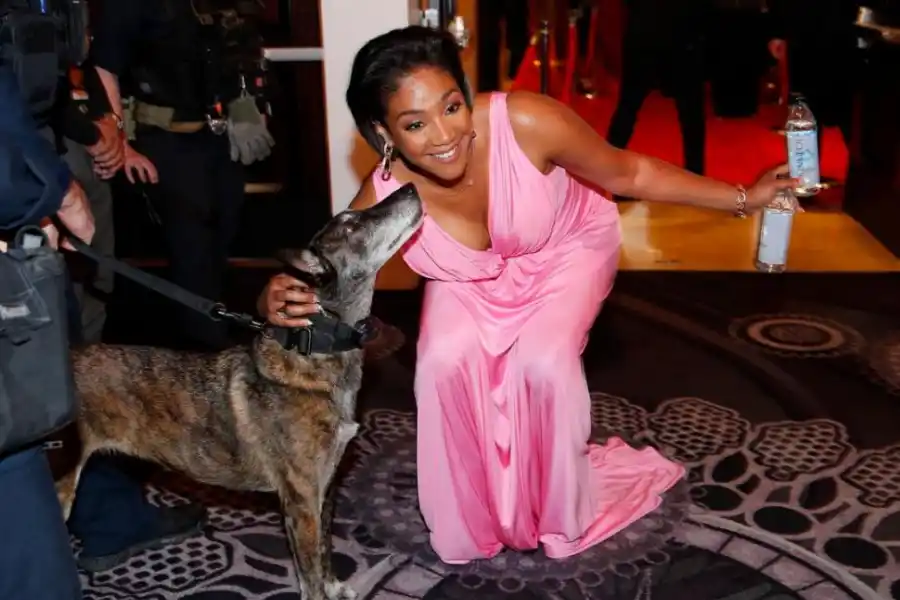 INFILTRADO. Un perro junto a Tiffany Haddish en la alfombra roja.
