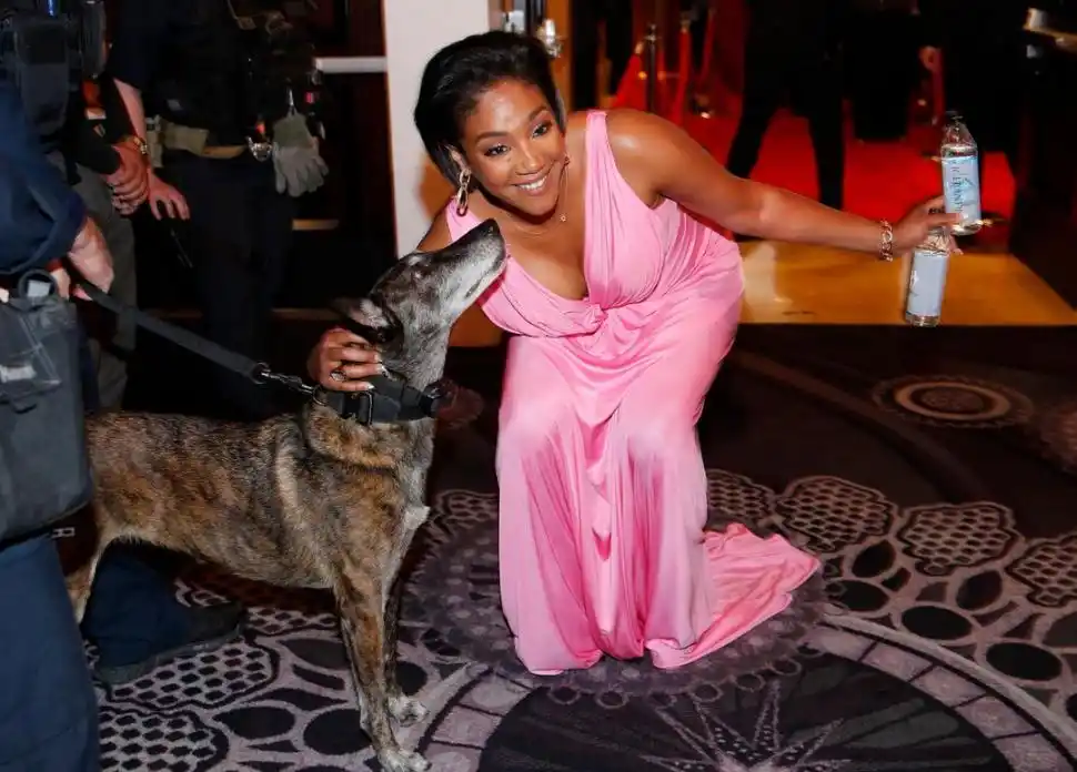INFILTRADO. Un perro junto a Tiffany Haddish en la alfombra roja.