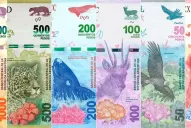 El Banco Central afirma que el reemplazo de los billetes será progresivo y sin costos extra