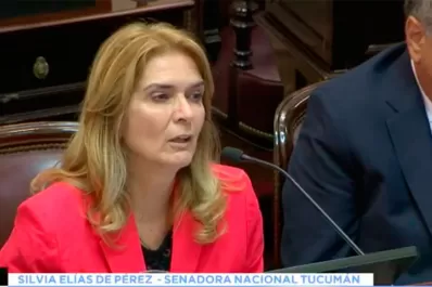 Crearon un Registro del Automotor y se lo dieron a un ex asesor de Elías de Pérez